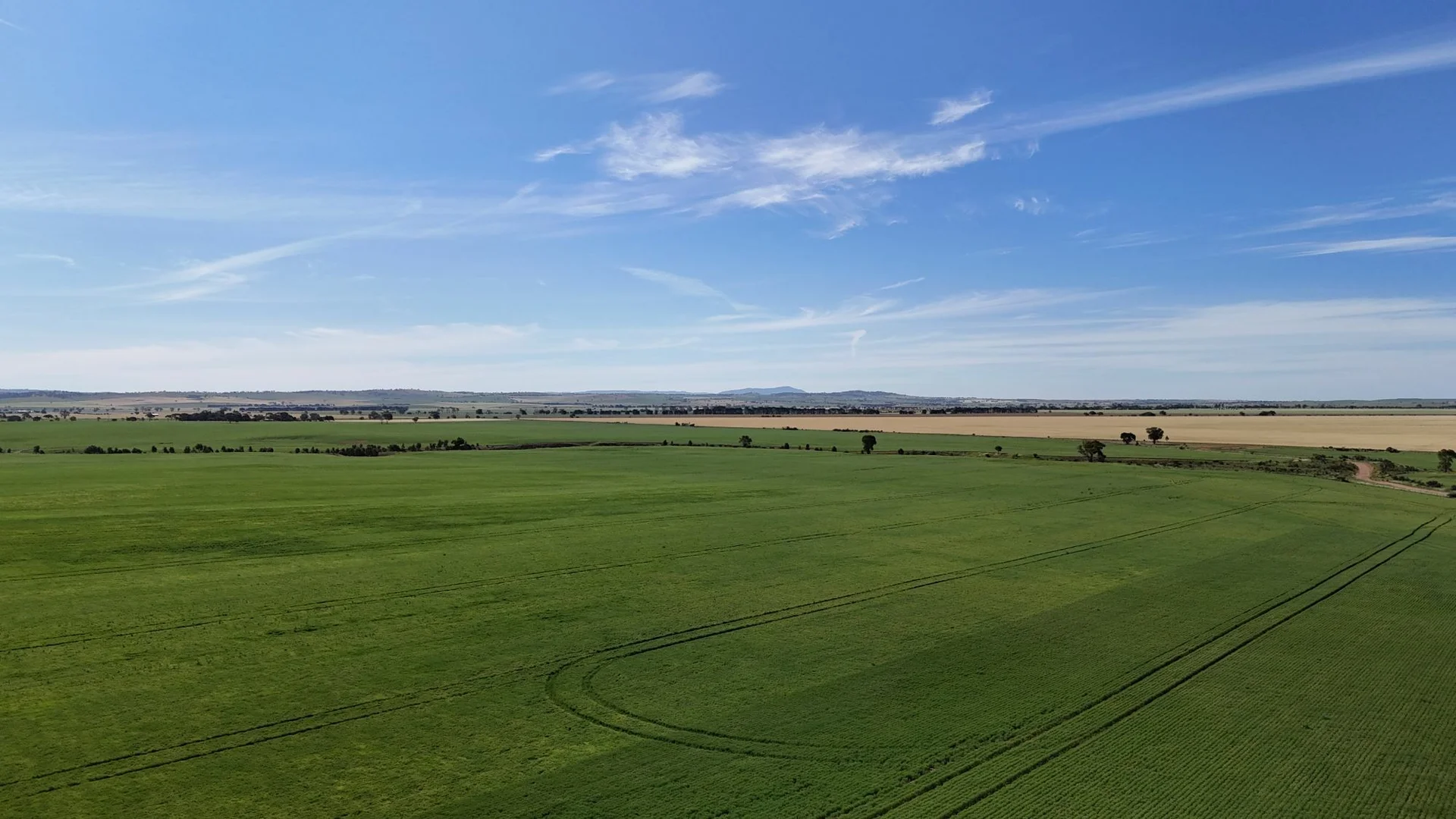 Additional image 9 of 'Pinefield' 186 Catford Rd, Appila SA 5480