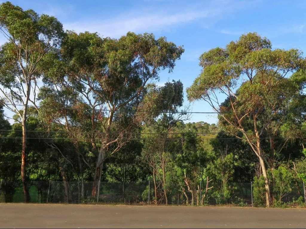 Additional image 2 of 62 The Boulevard, Malvern East VIC 3145