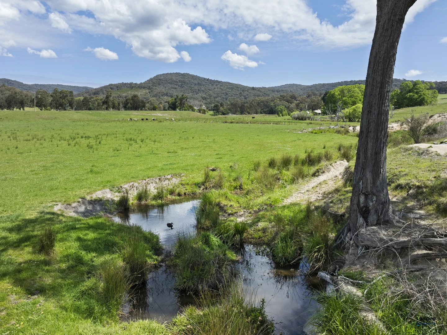 Additional image 18 of 84 Heaney Road, Lima East VIC 3673