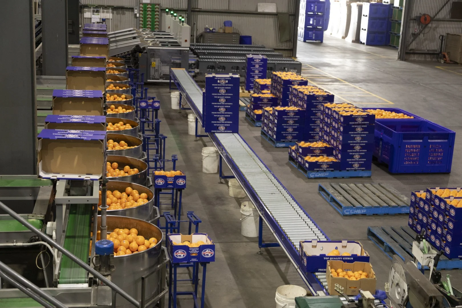 Additional image 12 of 203 Payten Road, Corbie Hill NSW 2705