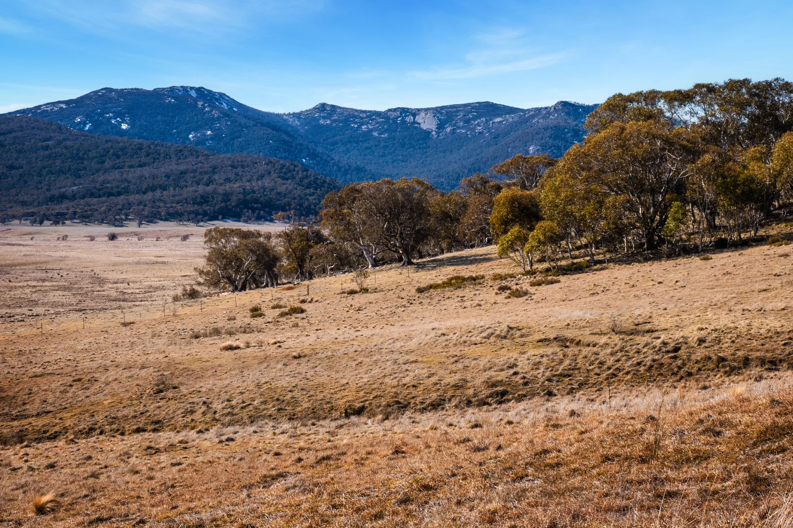 Additional image 10 of 42 Outpost Road, Yaouk NSW 2629