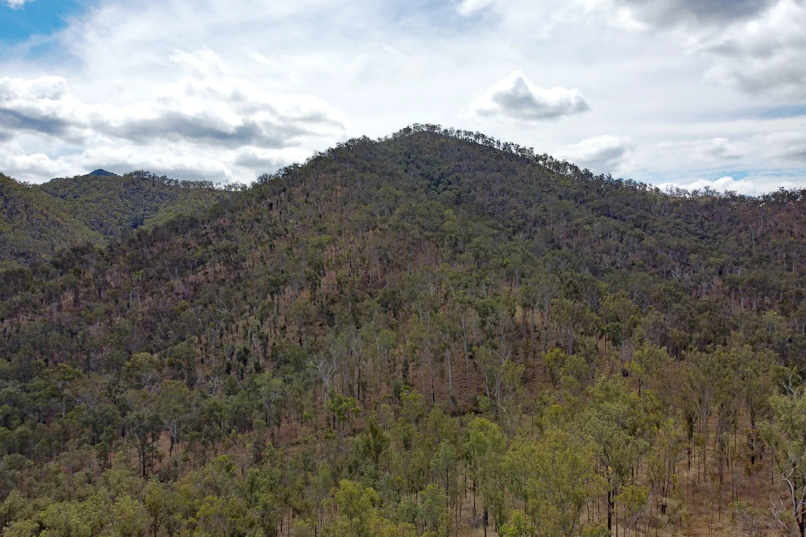 Additional image 20 of "Jalna" 266 Childs Road, Boyne Valley QLD 4680