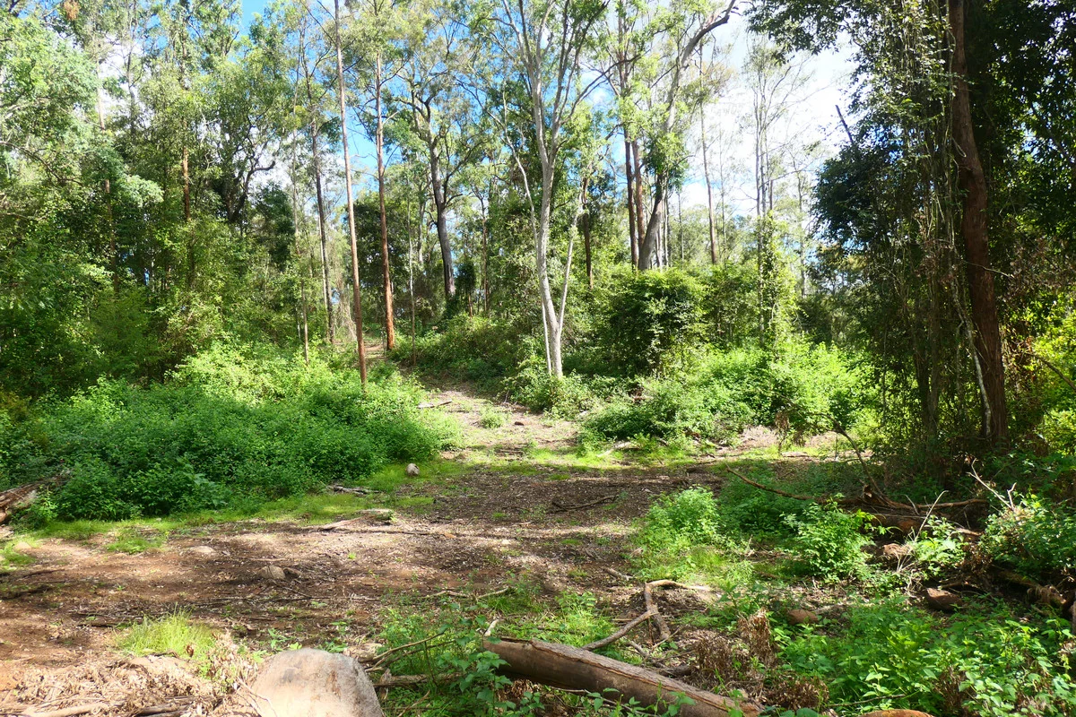 Additional image 11 of 146 Mills Road, Bean Creek NSW 2469