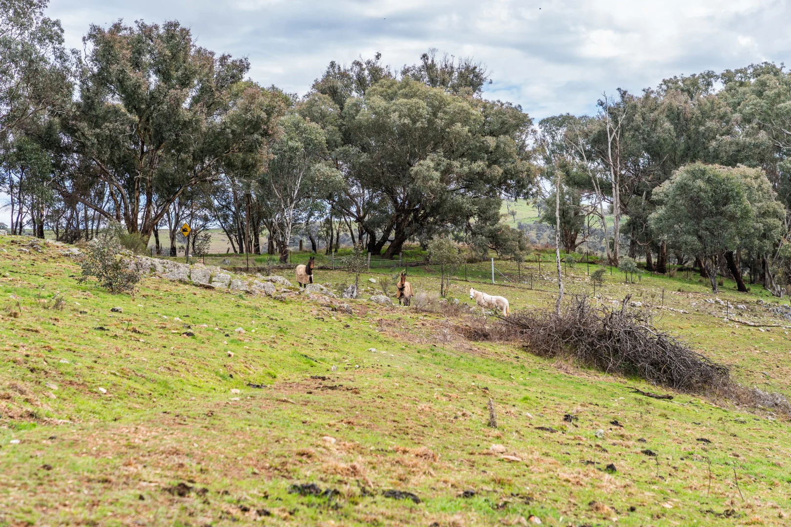 Additional image 12 of 1564 Lower Lewis Pond Road, Orange NSW 2800