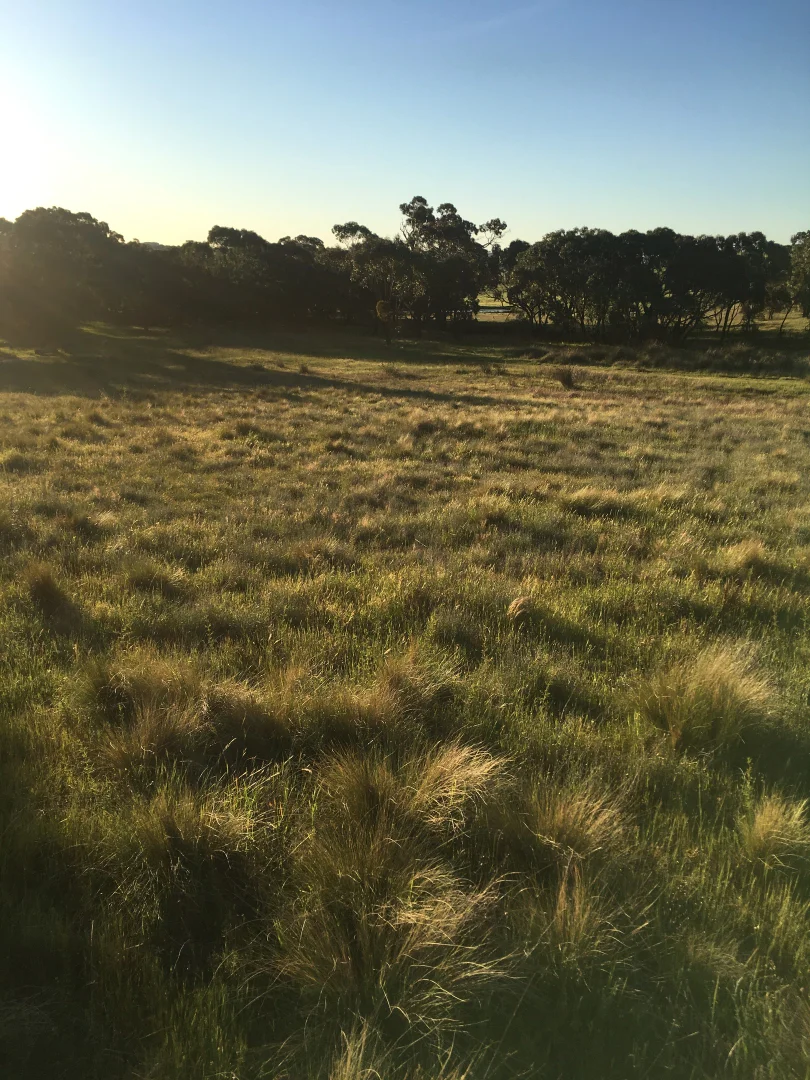 Additional image 15 of 560 Collector Road, Gunning NSW 2581