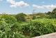 Additional image 29 of Lower Barncoose, Redruth