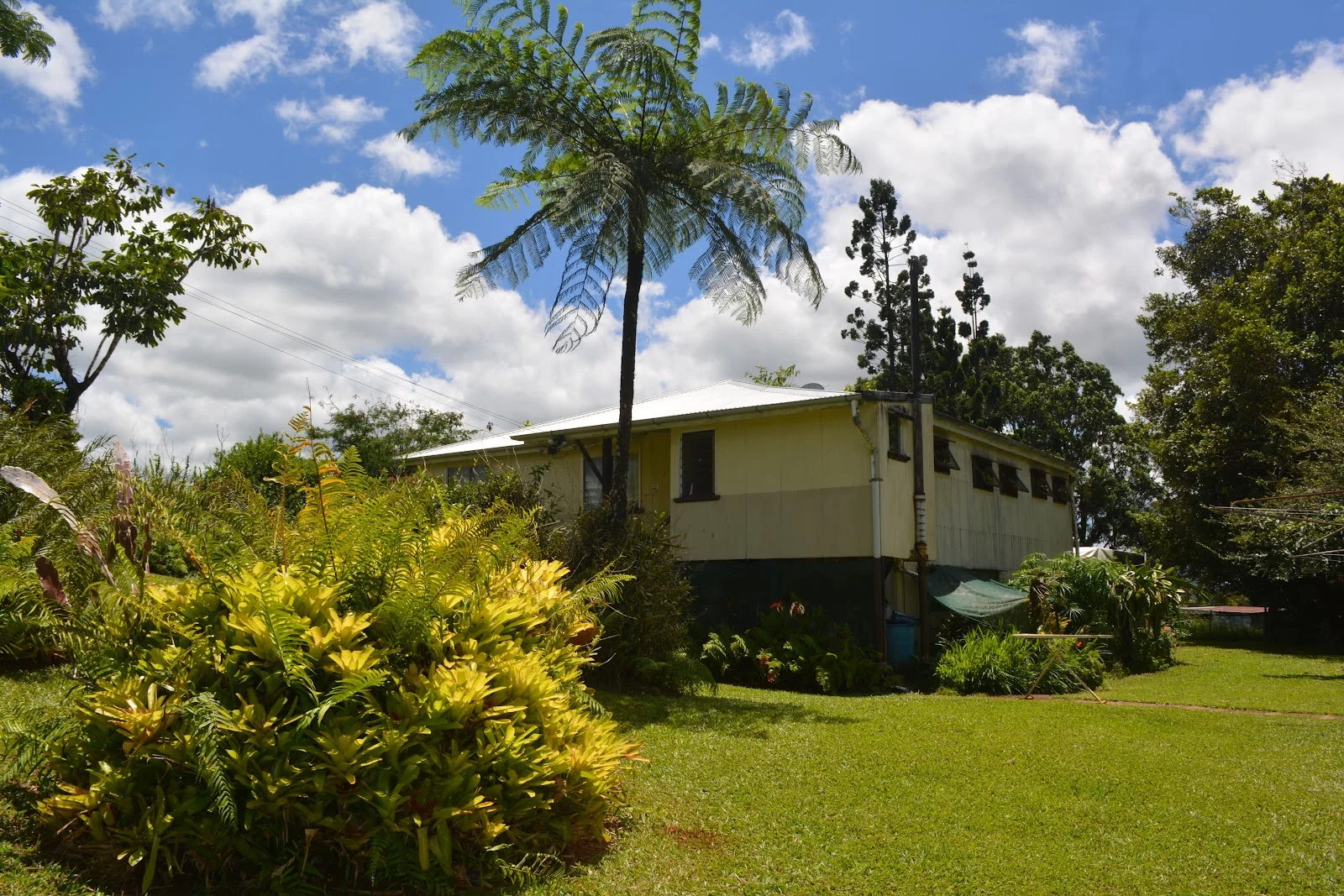 Additional image 60 of 780 MIDDLEBROOK ROAD, Millaa Millaa QLD 4886