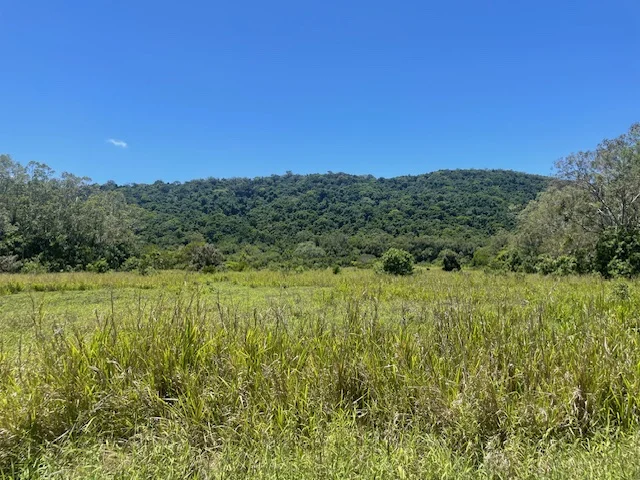 Additional image 5 of 12 Pine Creek - Yarrabah Road, East Trinity QLD 4871