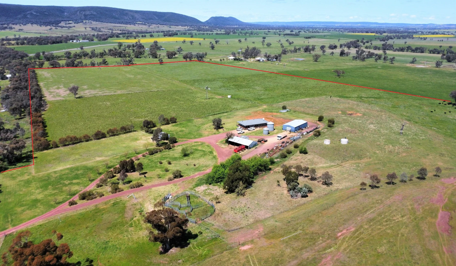 Additional image 24 of Young NSW 2594