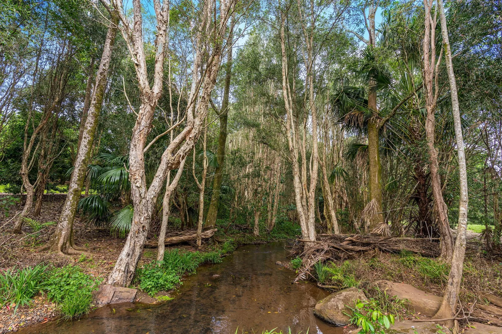 Additional image 26 of 271 Alcorn Road, Knockrow NSW 2479