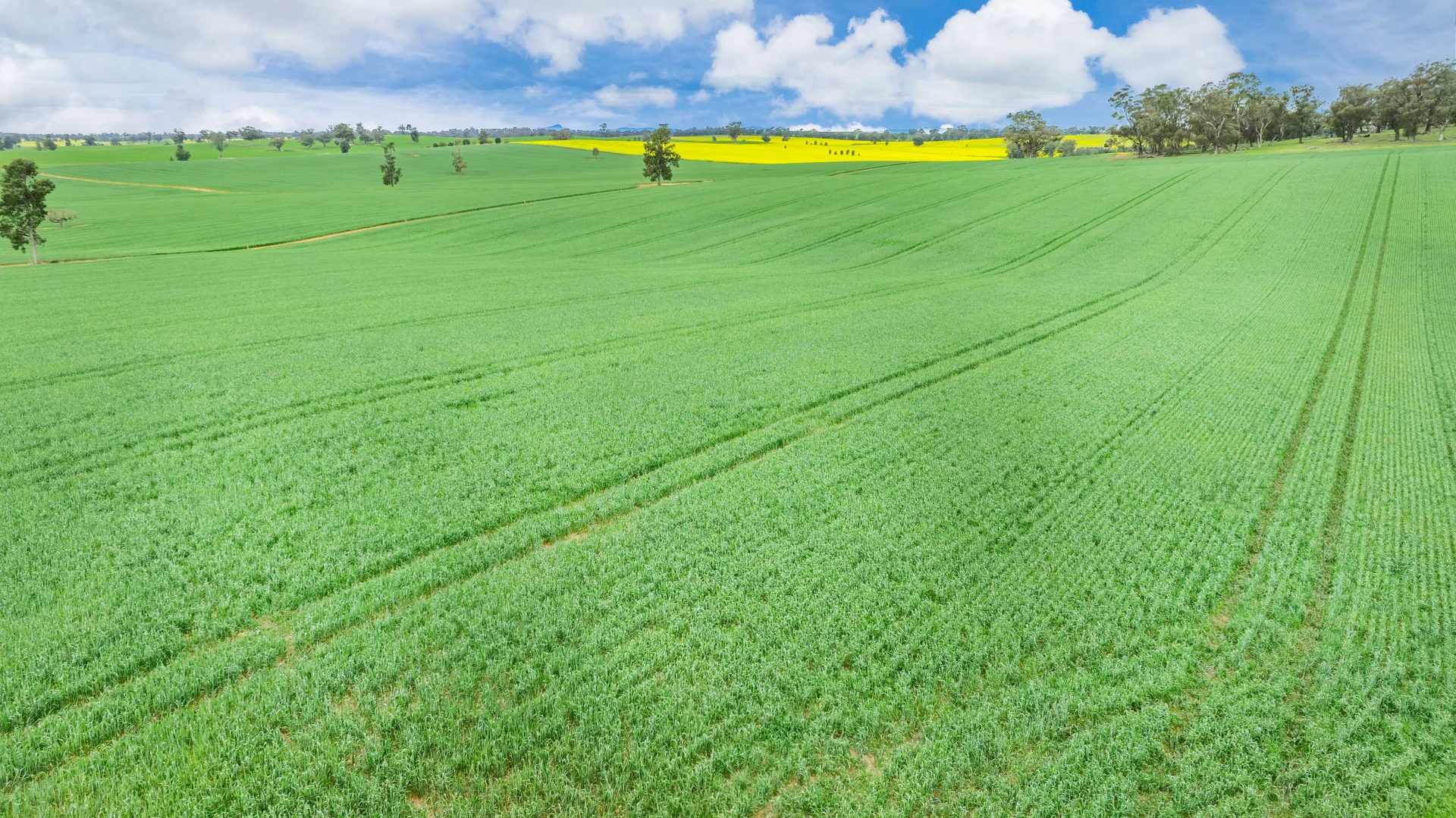 Additional image 7 of 1516 Osborne Pleasant HIlls Road, Pleasant Hills NSW 2658