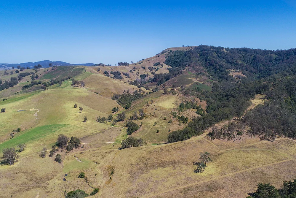 Additional image 2 of Lot A, 25 & 109 Allyn River Road, Halton NSW 2311