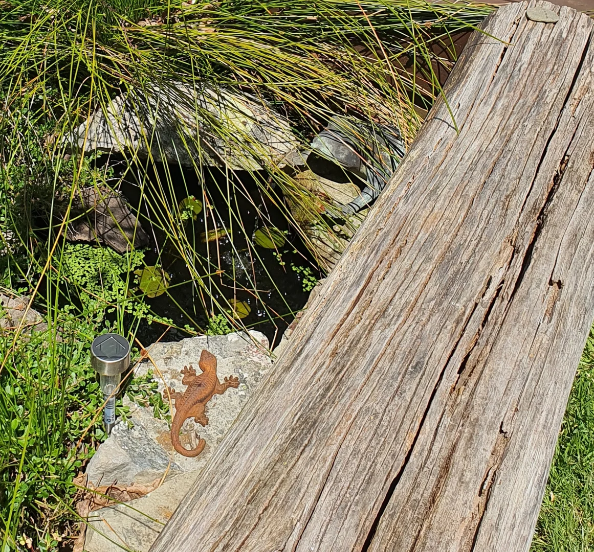 Additional image 32 of 121 Scamander Avenue, Scamander TAS 7215