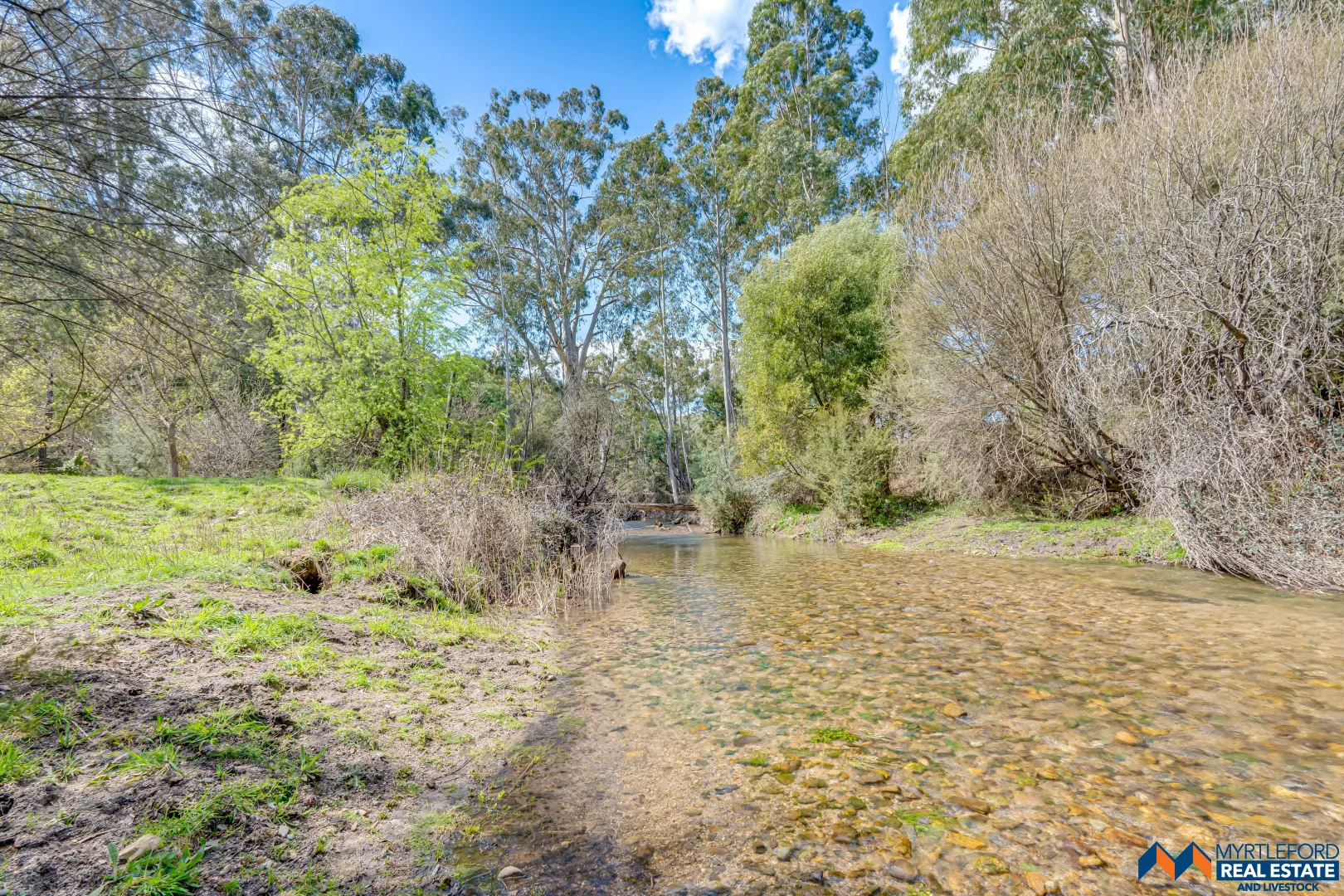 Additional image 9 of 330 Clemens Lane, Myrtleford VIC 3737