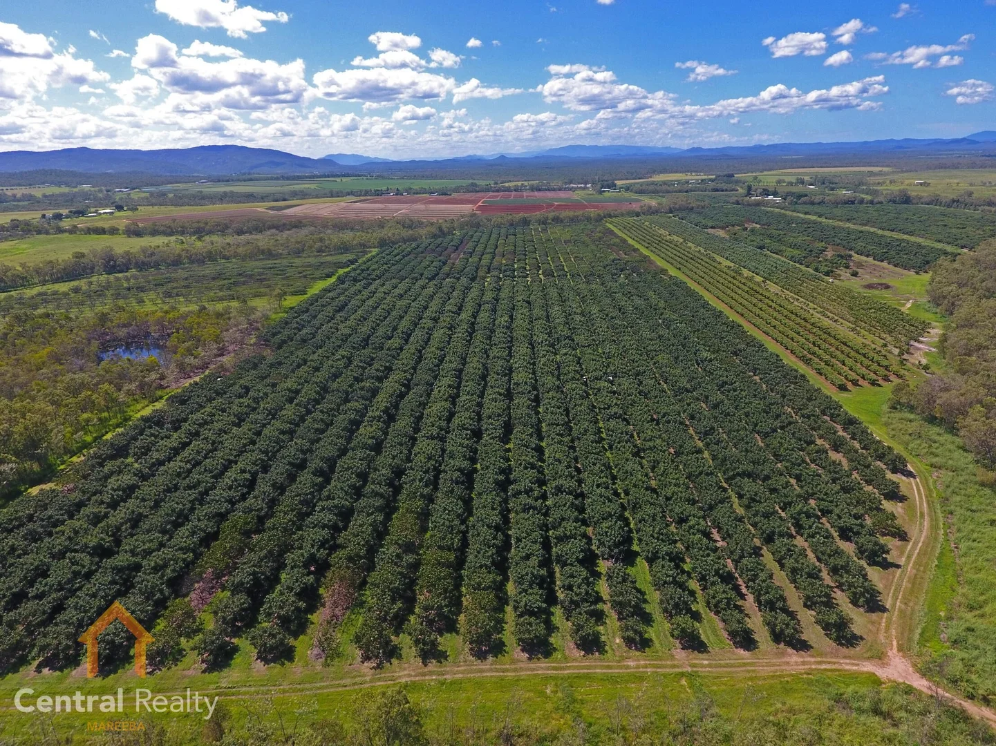 Additional image 24 of 44 Carman Road, Mareeba QLD 4880