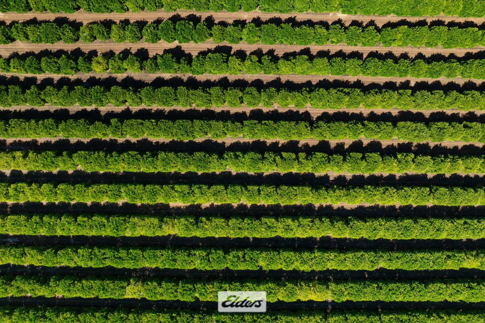 Additional image 11 of 310 Delta Road, Curlwaa NSW 2648