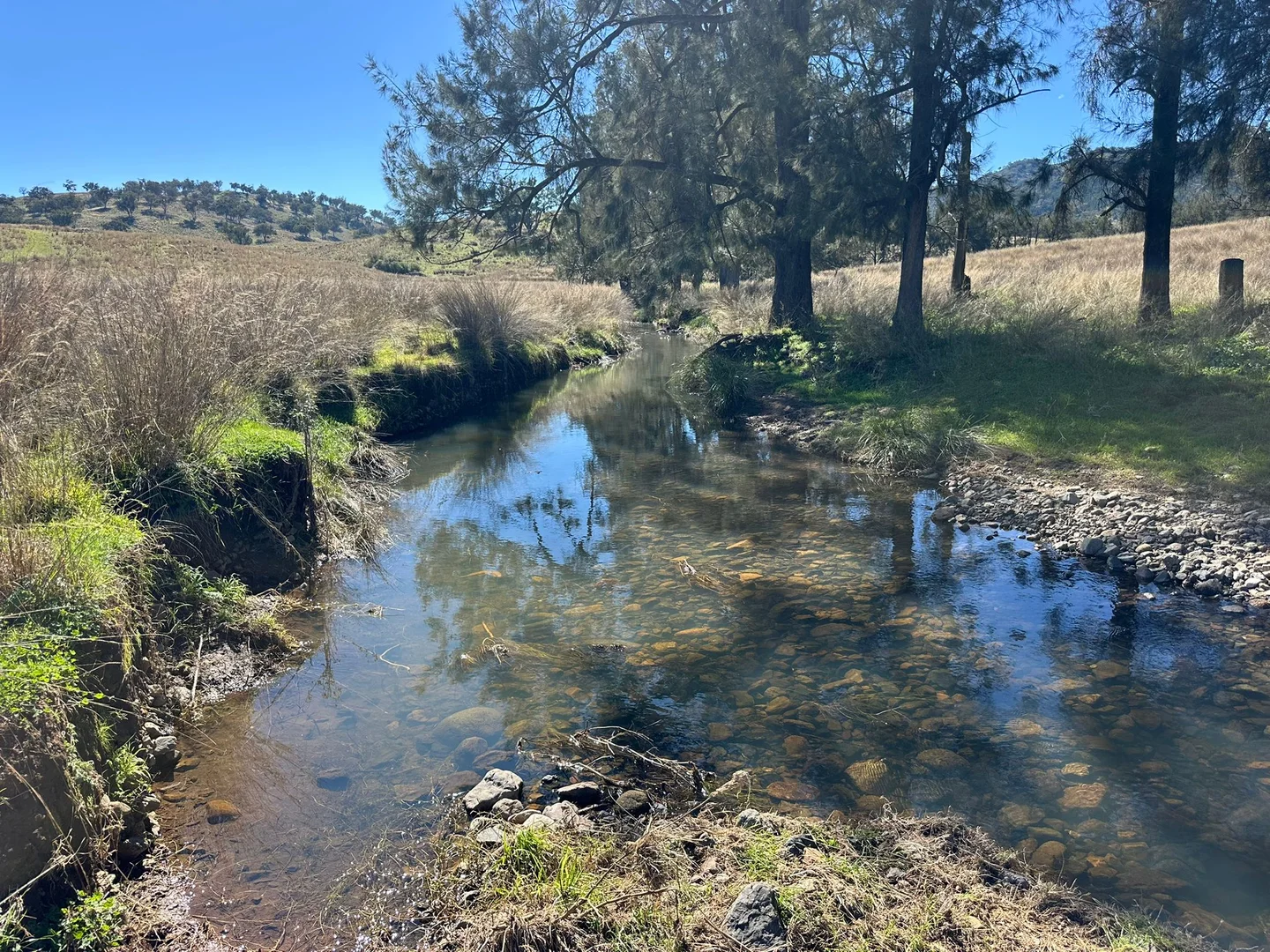 Additional image 16 of 2991 Halls Creek Road, Halls Creek NSW 2346