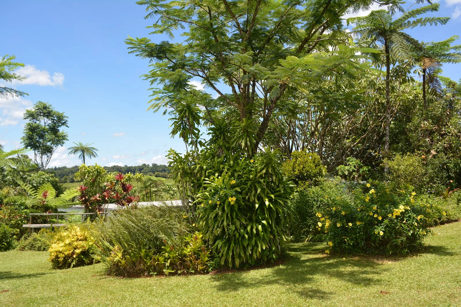 Additional image 58 of 780 MIDDLEBROOK ROAD, Millaa Millaa QLD 4886