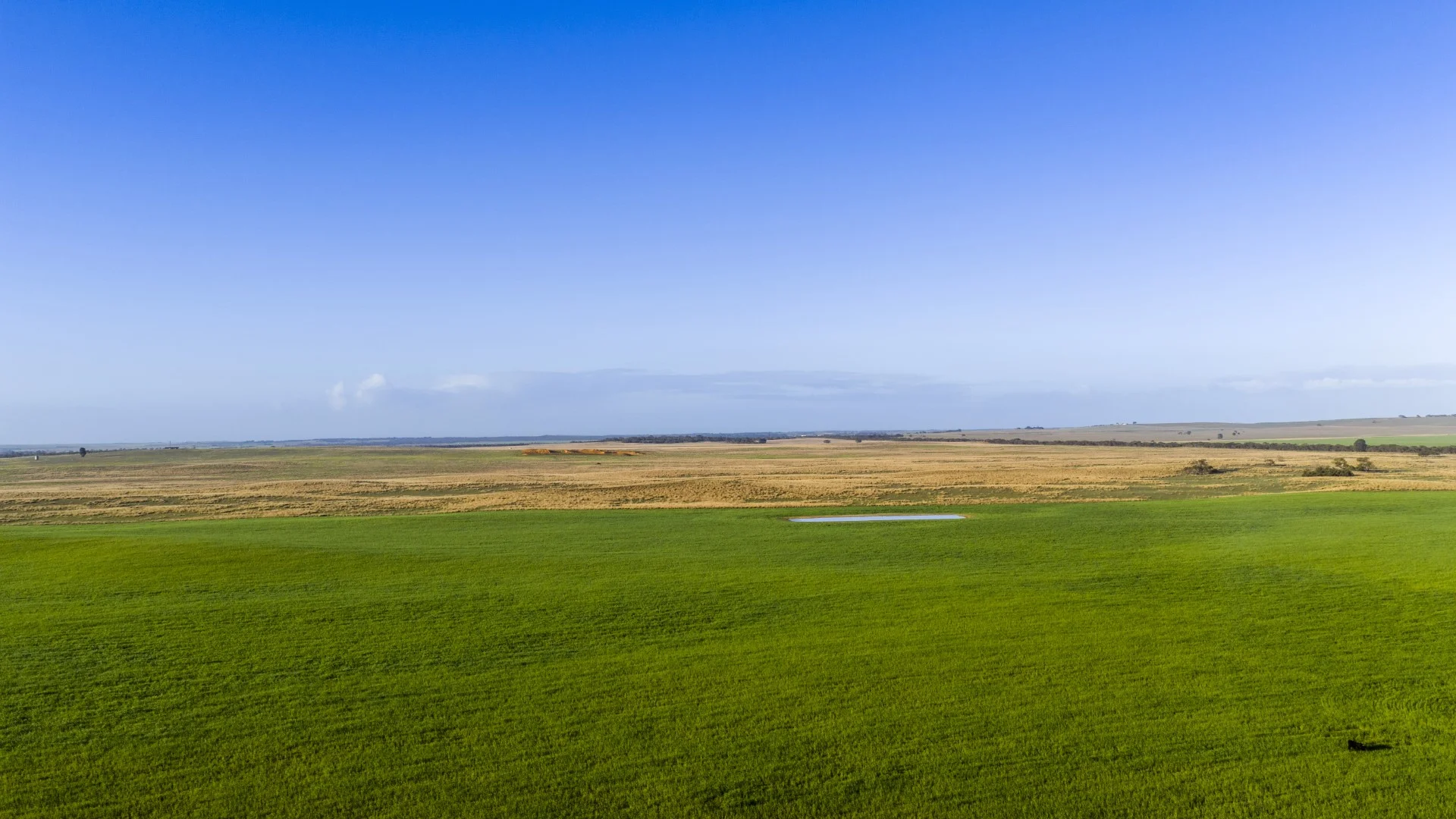 Additional image 29 of 1579 Chappel Road, Telopea Downs VIC 3420