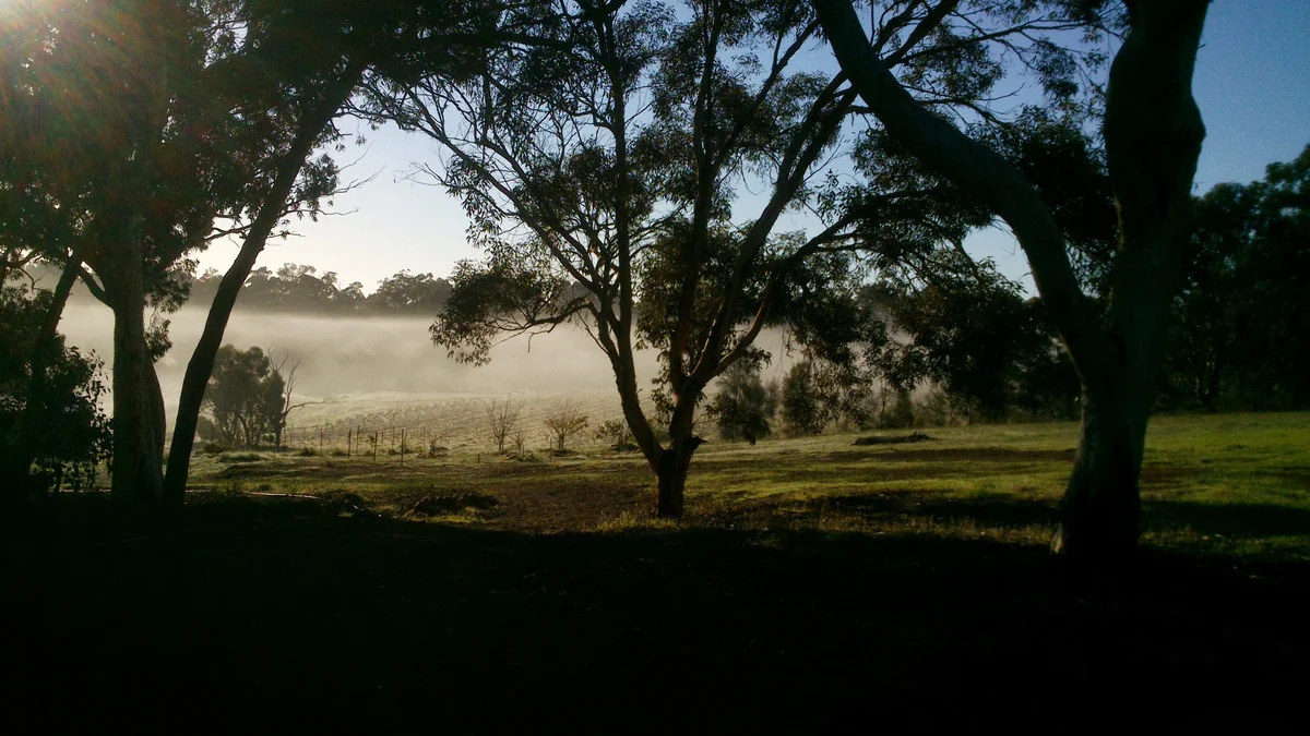 Additional image 14 of 586 Wandering-Pingelly Road, Wandering WA 6308