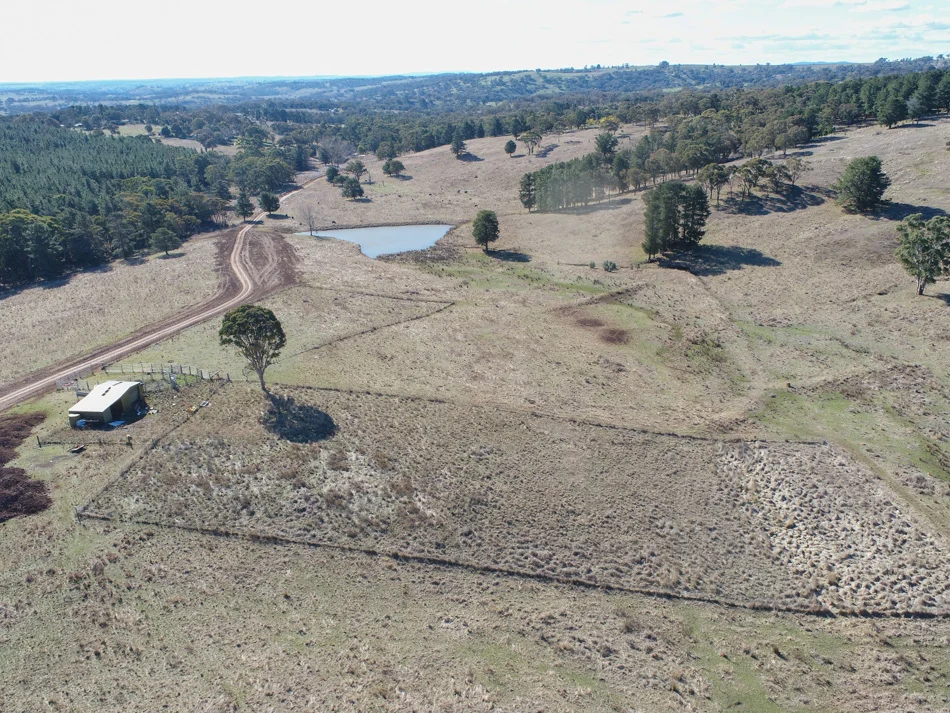 Additional image 7 of 1173 Cargo Road, Lidster NSW 2800