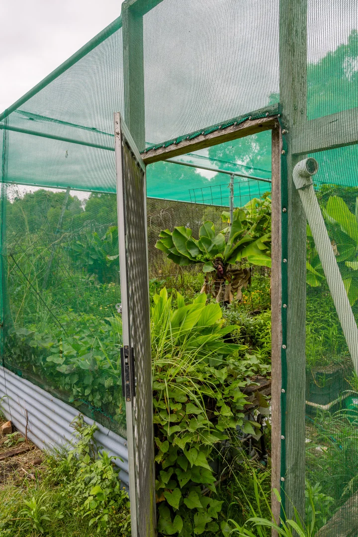 Additional image 36 of 609 Mount French Road, Mount French QLD 4310