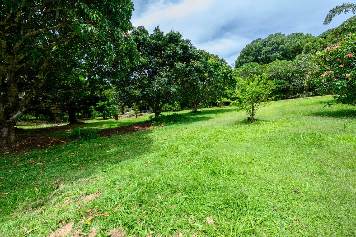 Additional image 36 of 86 Parmenters Road, Wilsons Creek NSW 2482