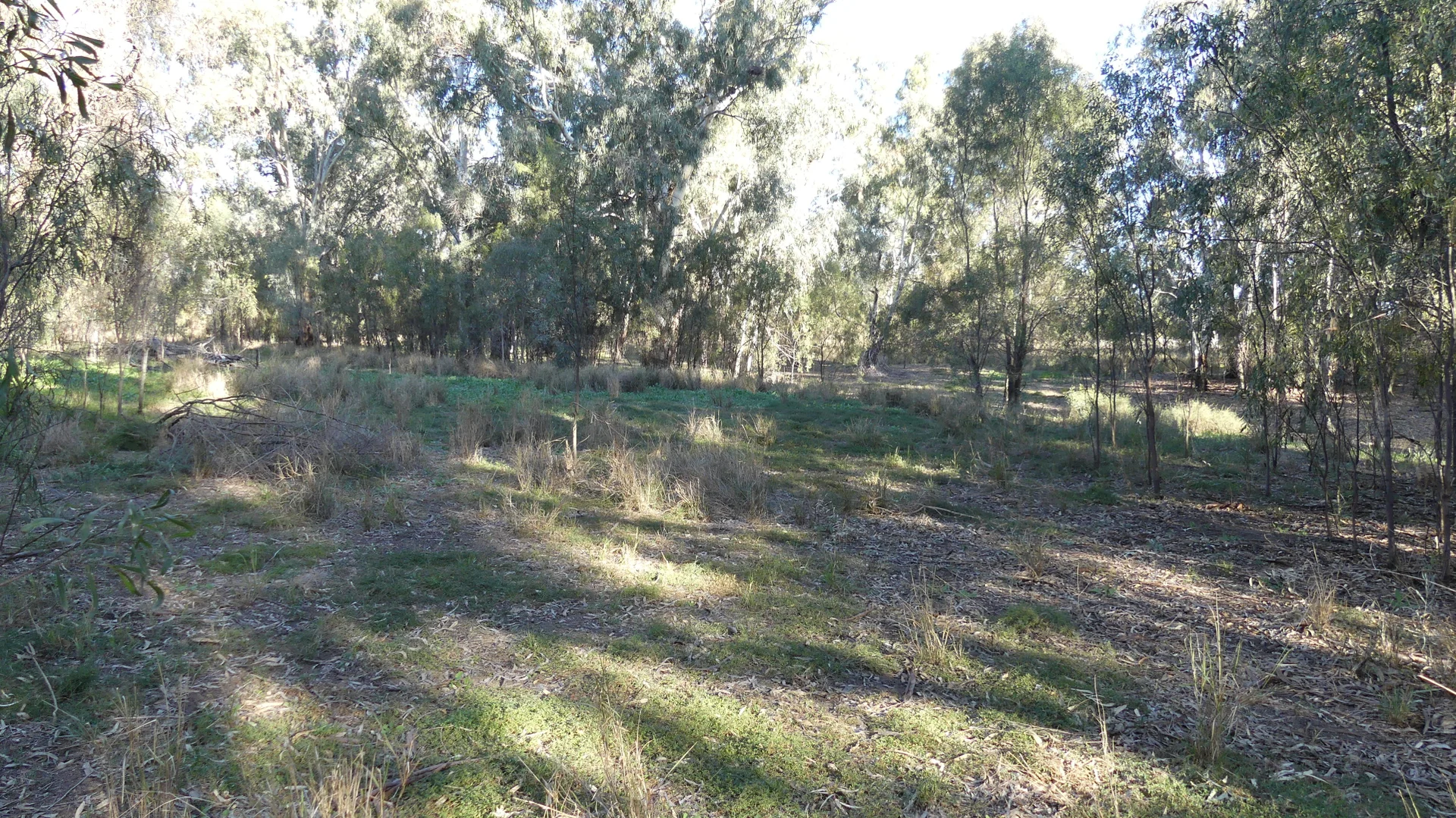 Additional image 4 of Lot 10 Oxley Highway, Warren NSW 2824