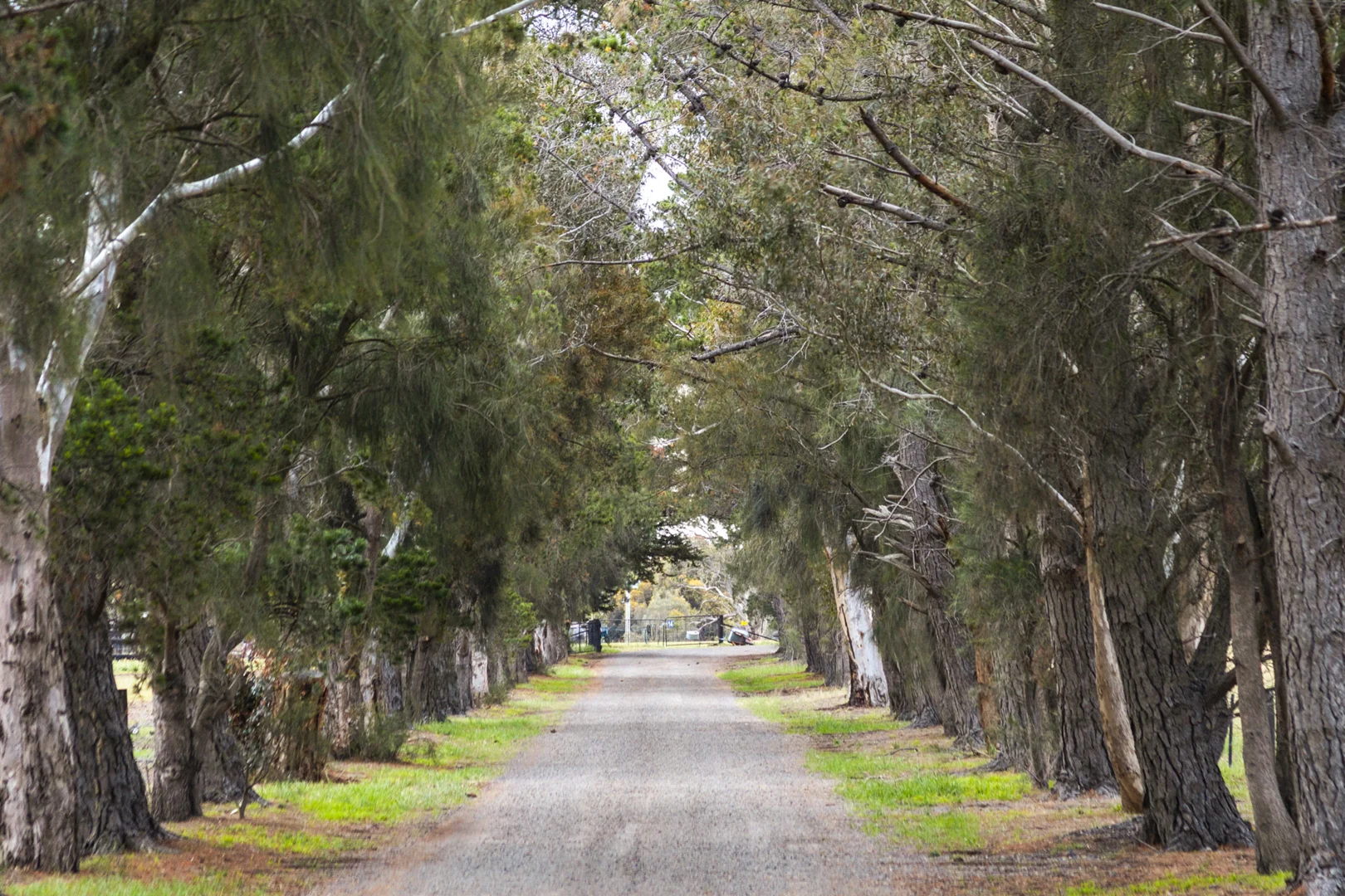 Additional image 61 of 2249 Midland Highway, Bannockburn VIC 3331