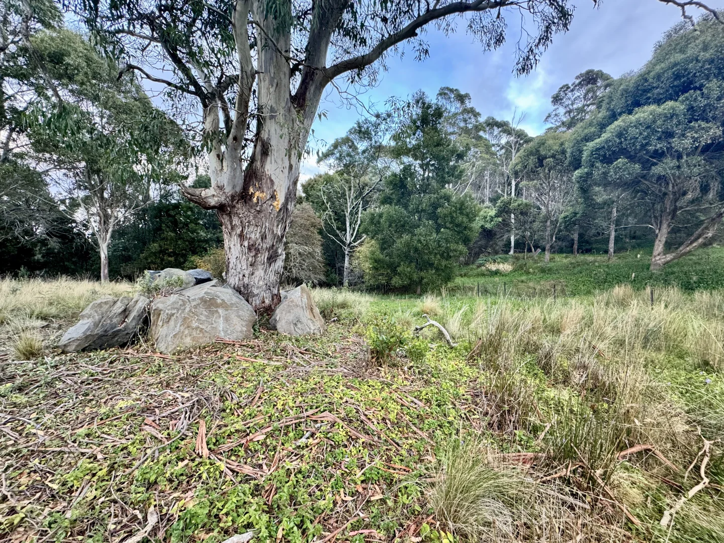 Additional image 4 of 14 Crosby Street, Cornwall TAS 7215