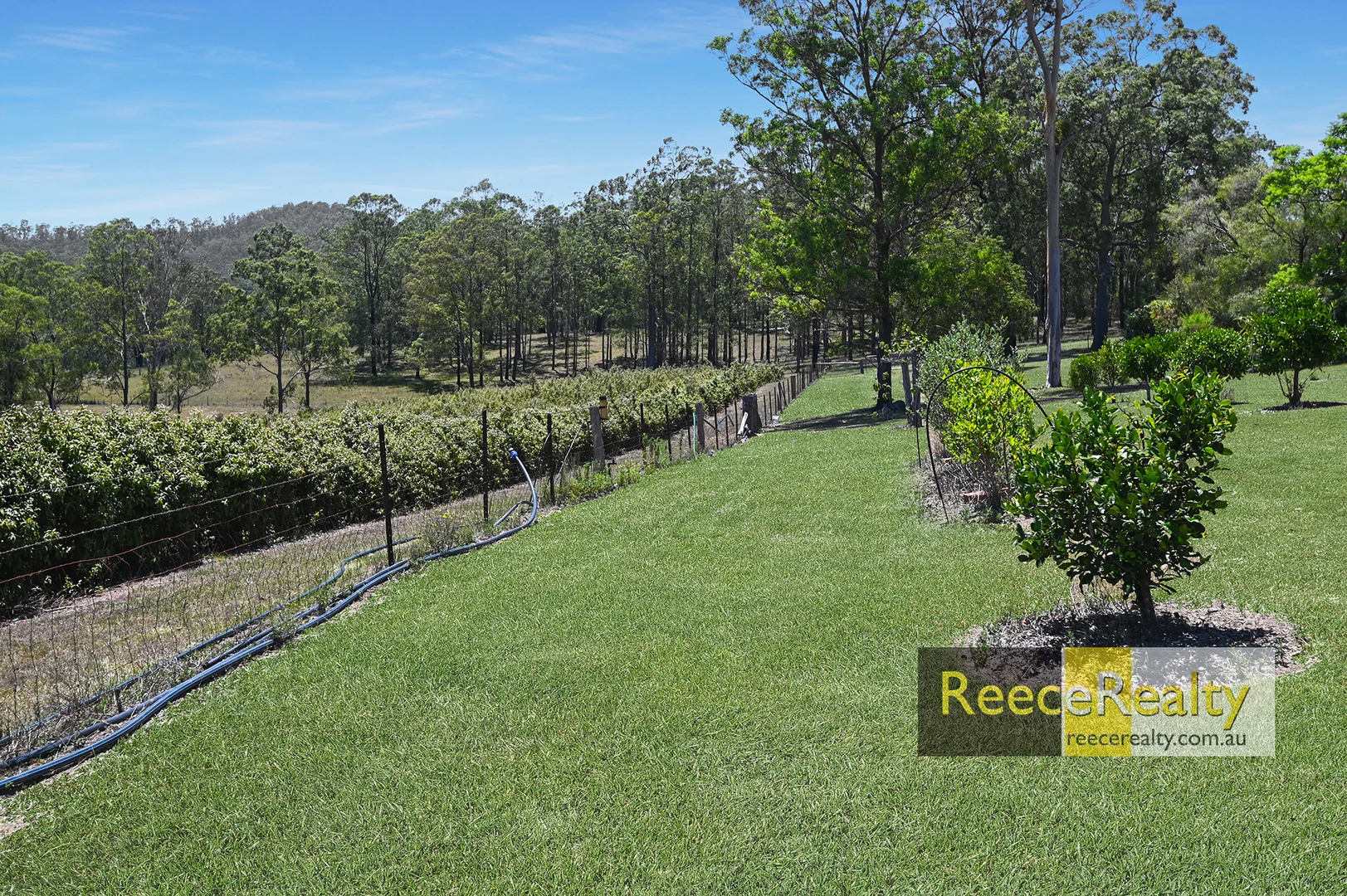 Additional image 17 of 122 Secombs Lane, Hickeys Creek NSW 2440