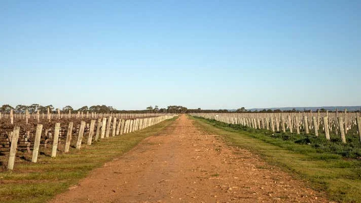 Additional image 9 of 634 Lake Plains Road, Lake Plains SA 5255