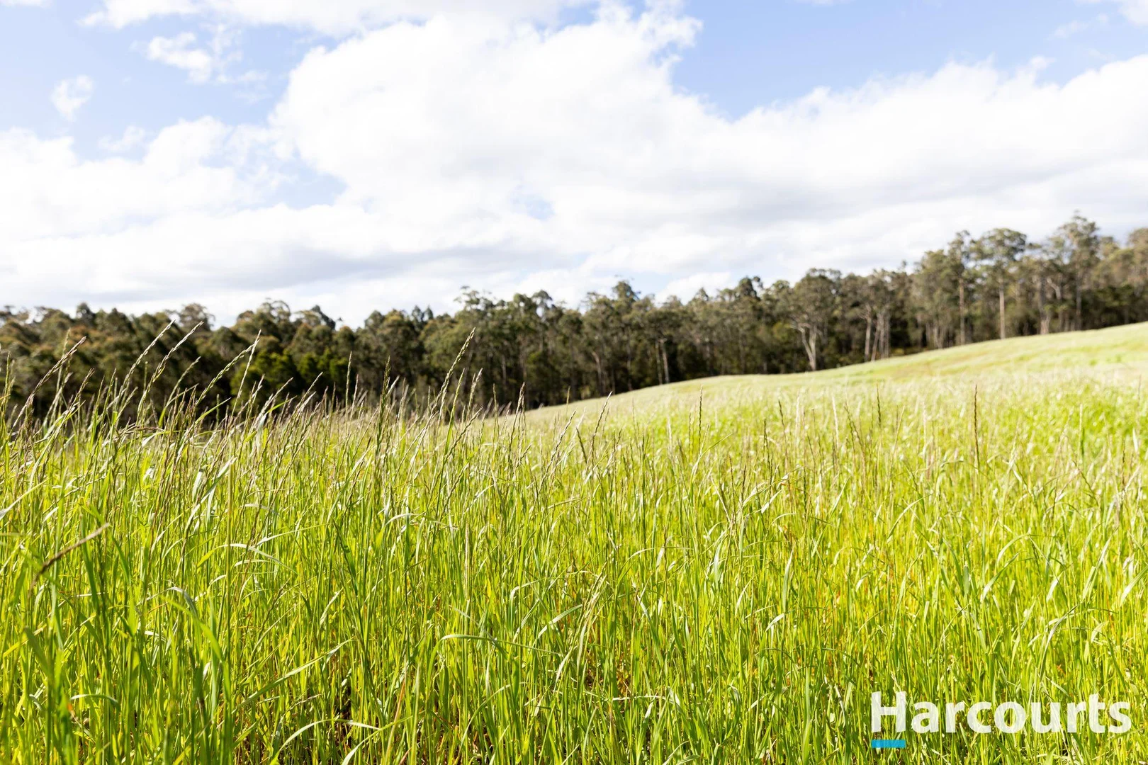 Additional image 3 of 420 Bradys Plain Road, Parkham TAS 7304