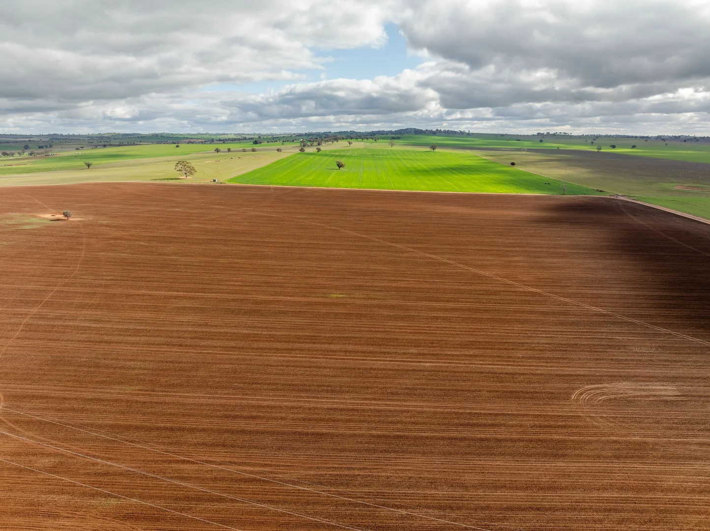 Additional image 17 of 79 Goldfields Way Old Junee Via, Wagga Wagga NSW 2650