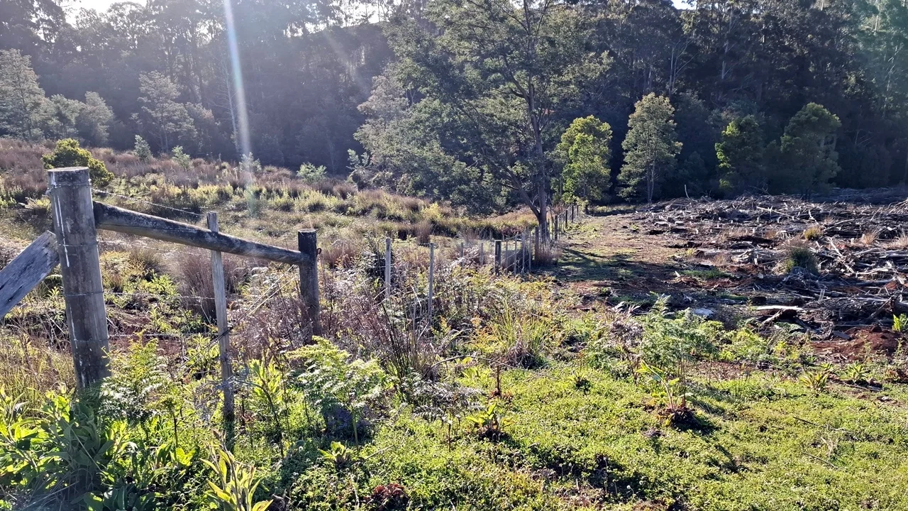 Additional image 24 of 108 Weeks Road, Barrington TAS 7306