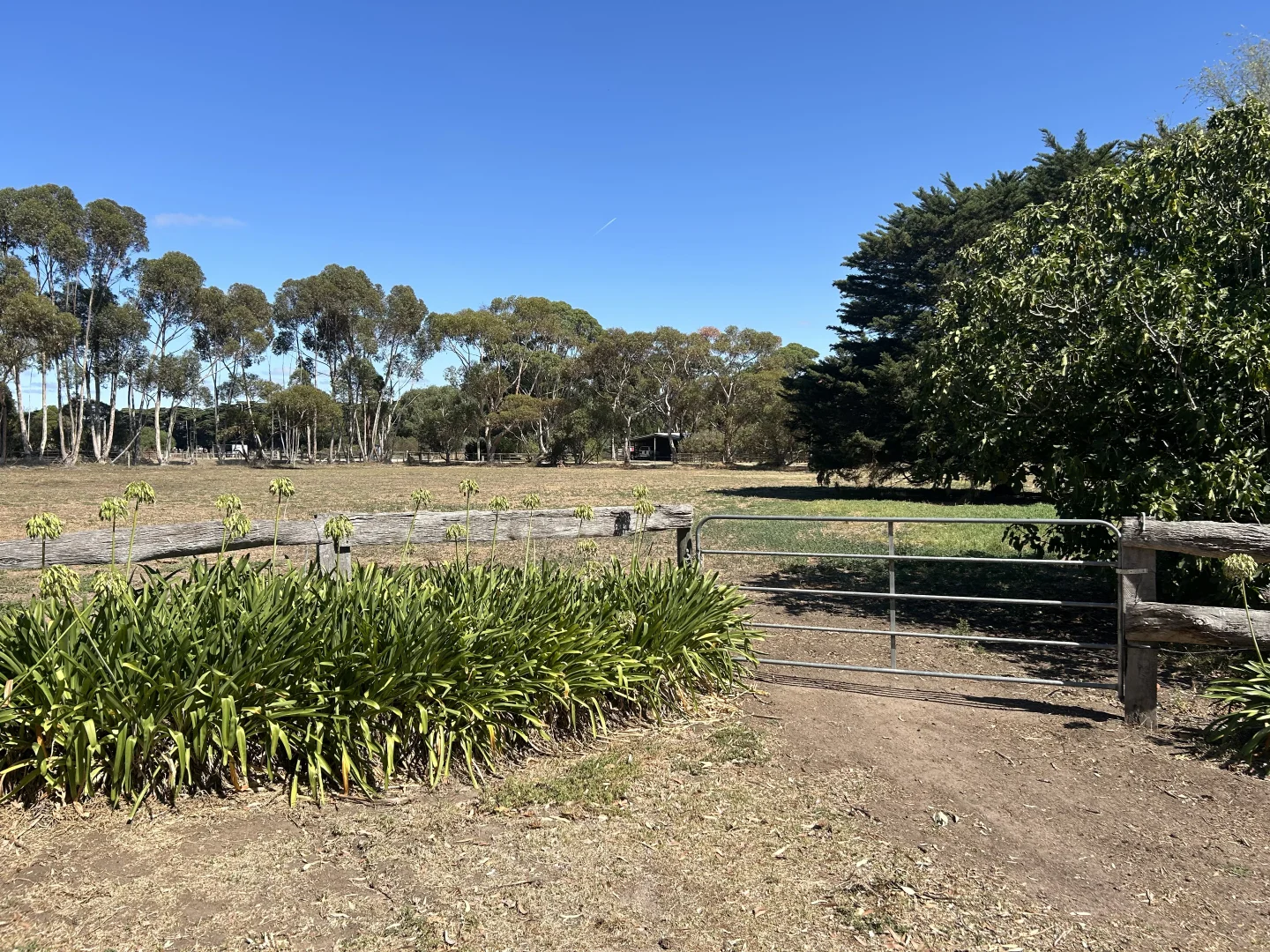 Additional image 21 of Moolap VIC 3224