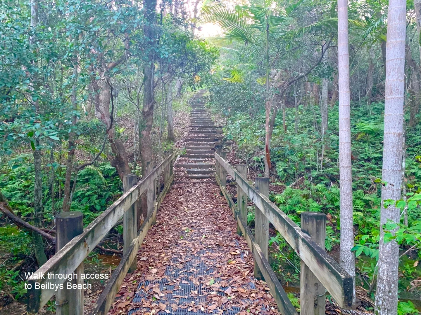 Additional image 23 of 17 Bellenger Street, Nambucca Heads NSW 2448