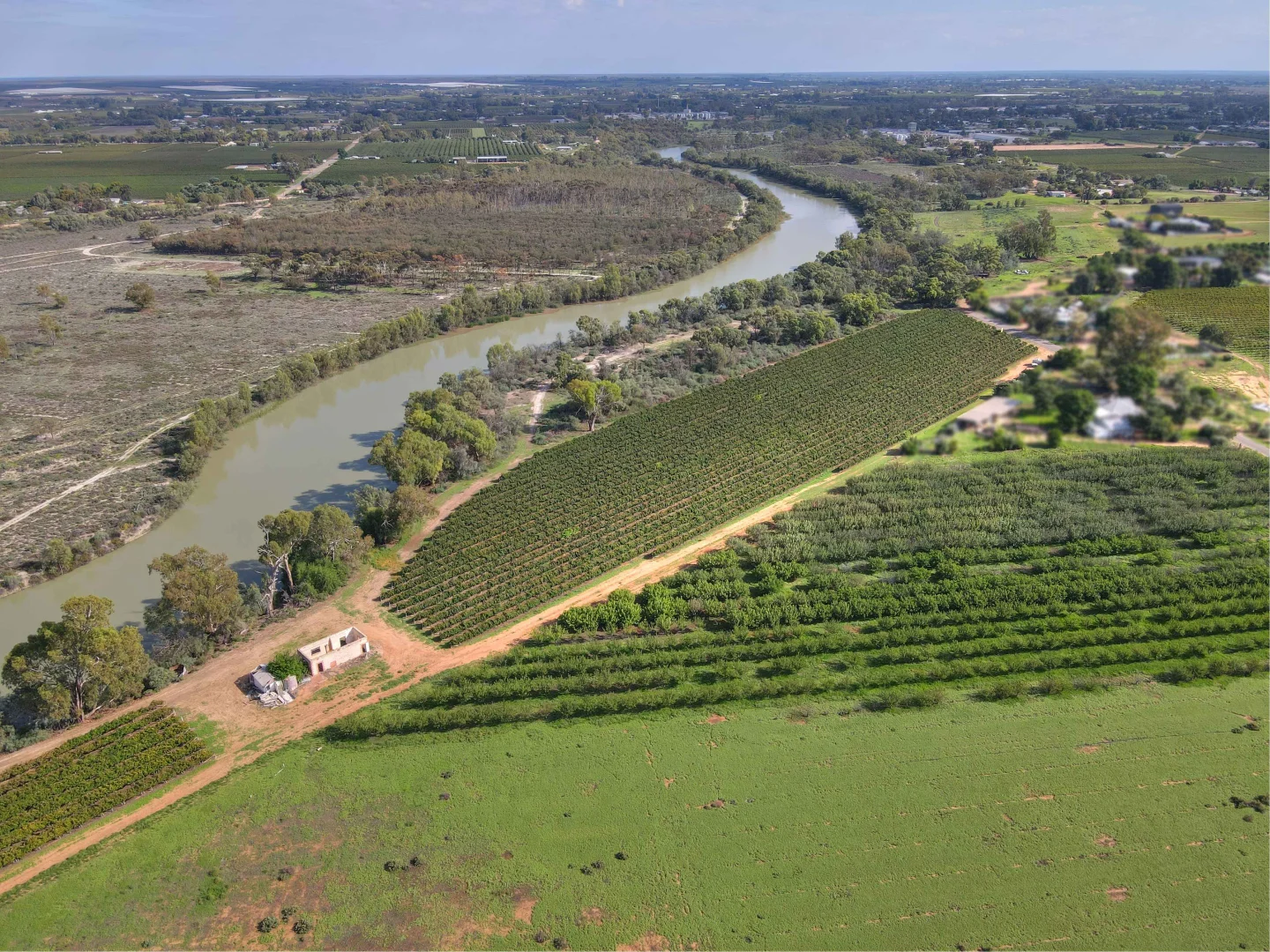 Additional image 5 of 91 Twentyfourth Street, Renmark SA 5341