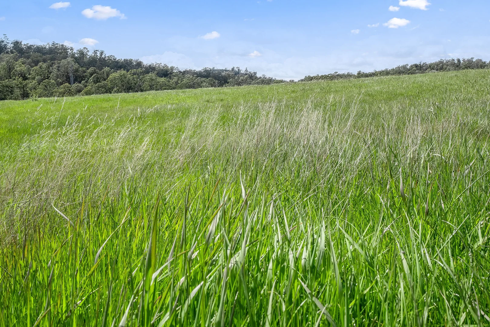 Additional image 7 of . Los Angelos Road, Swan Bay TAS 7252