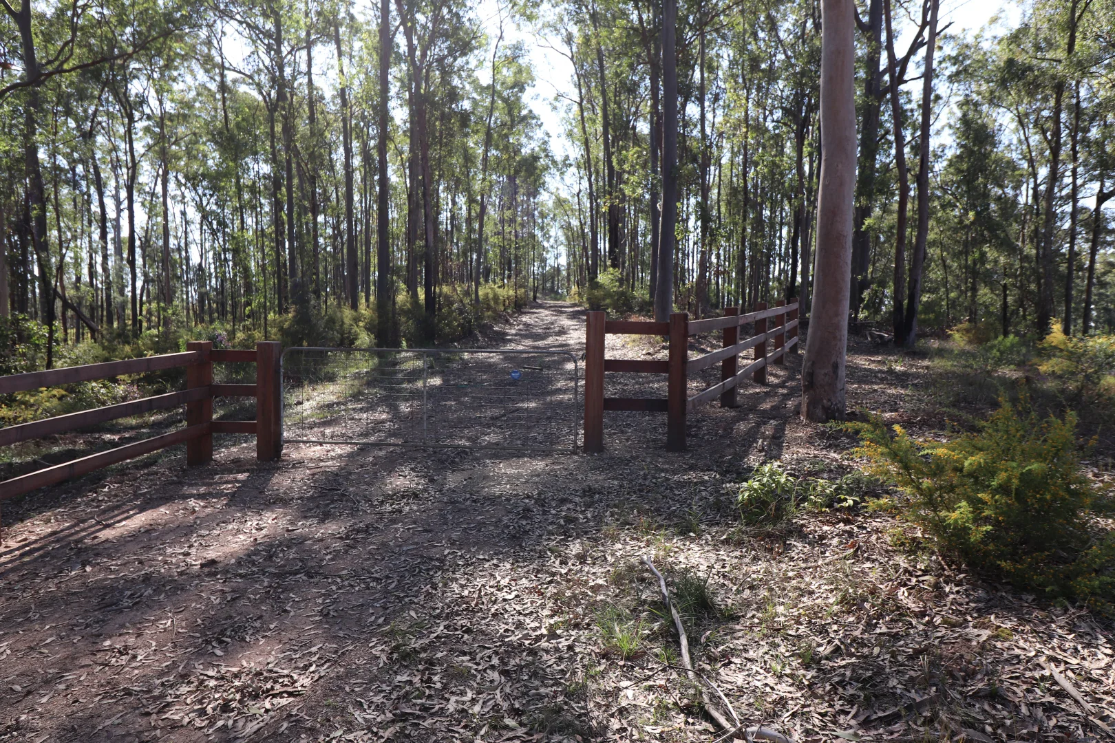 Additional image 2 of Lot 41 Collombatti Road, Collombatti NSW 2440