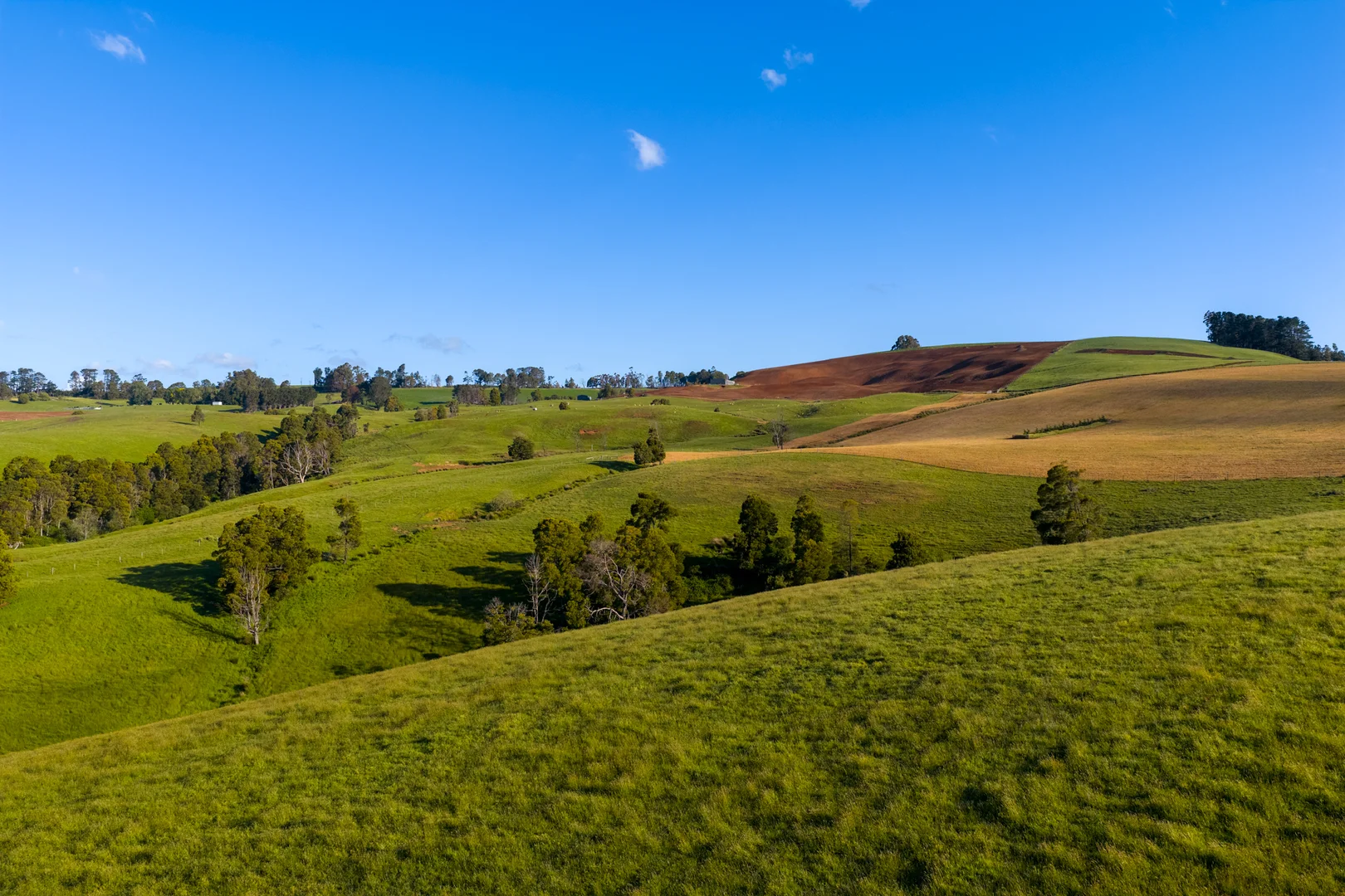 Additional image 17 of 520 Foster Road, Boolarra South VIC 3870
