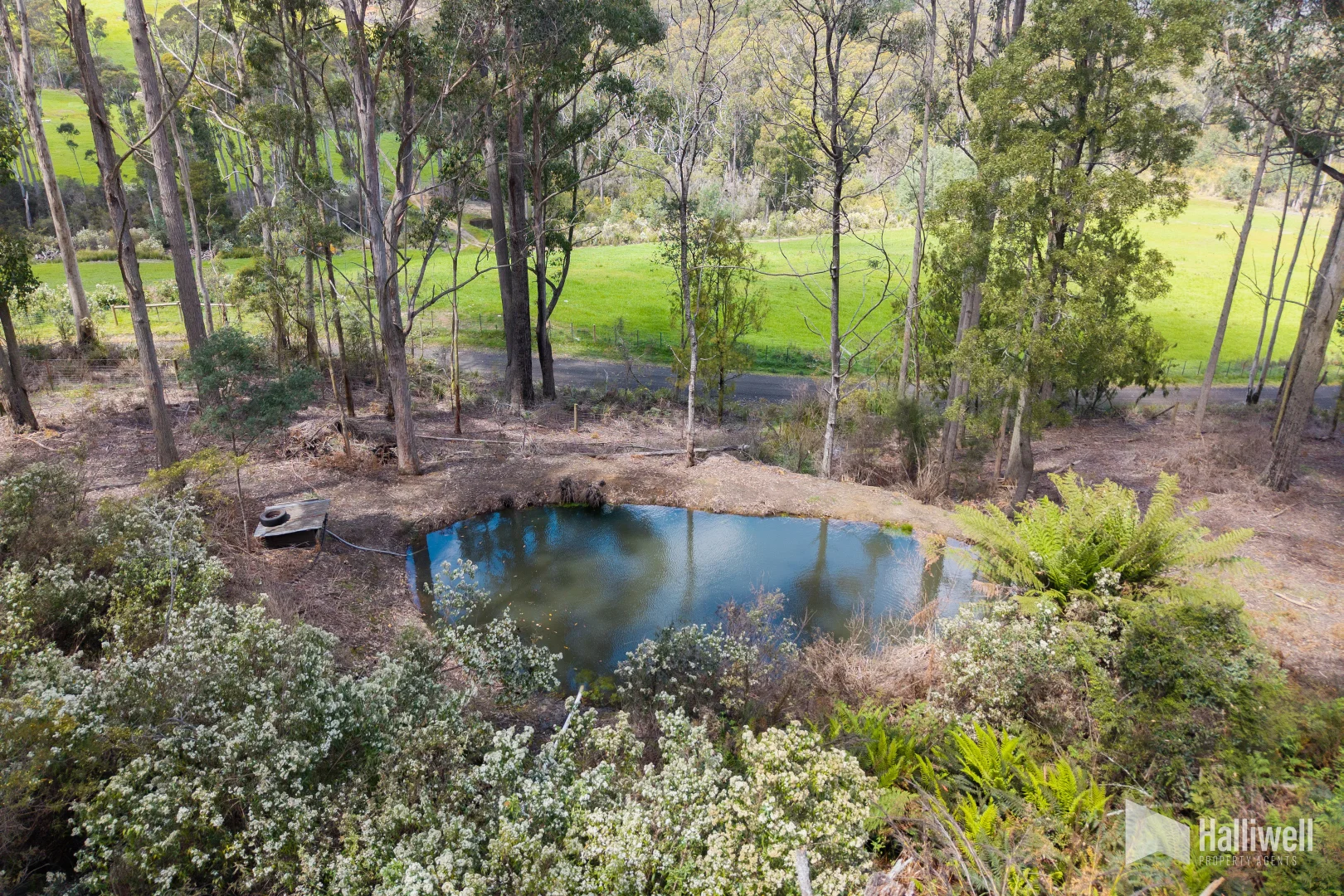 Additional image 8 of 451 Bradys Plain Road, Parkham TAS 7304