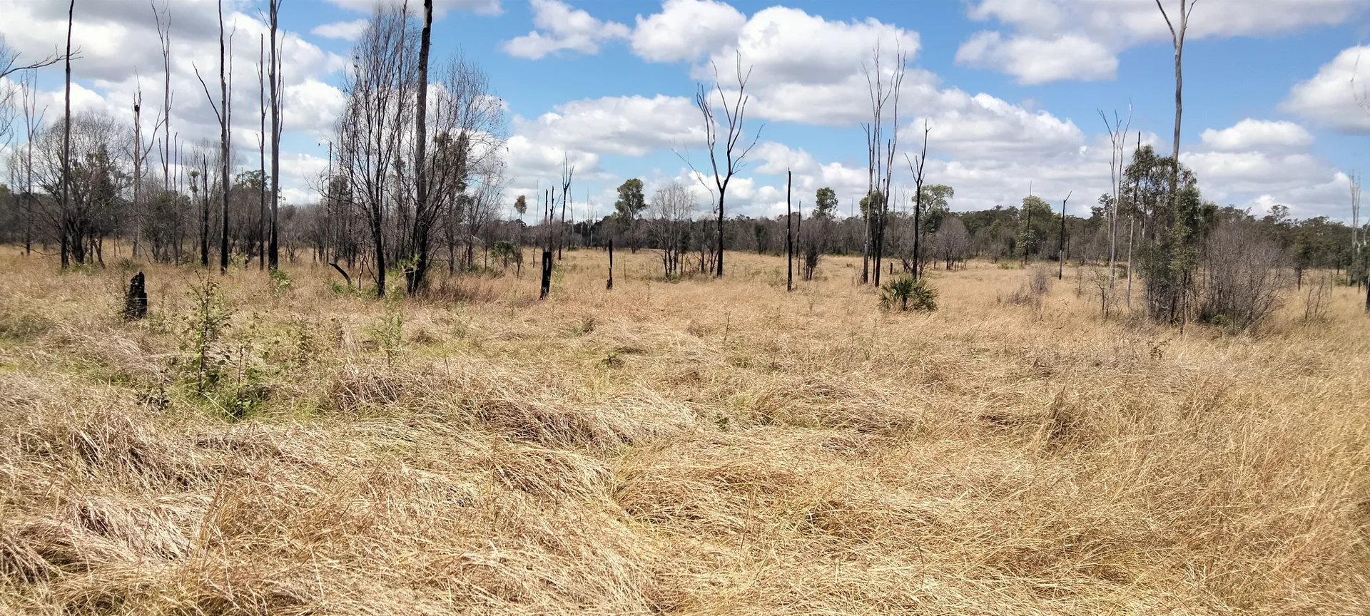 Additional image 39 of 3359 Lowmead Road, Lowmead QLD 4676