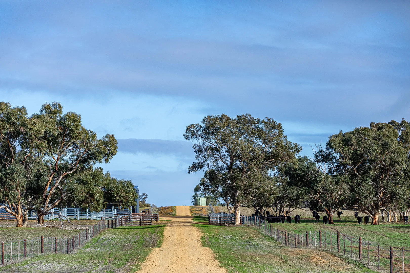 Additional image 5 of 1911 Cadgee Road, Naracoorte SA 5271