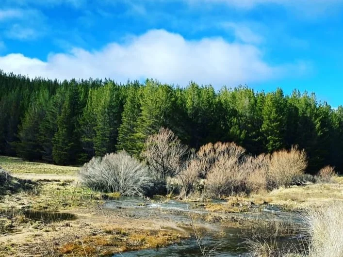 Additional image 15 of 4782 Jerangle Road, Captains Flat NSW 2623