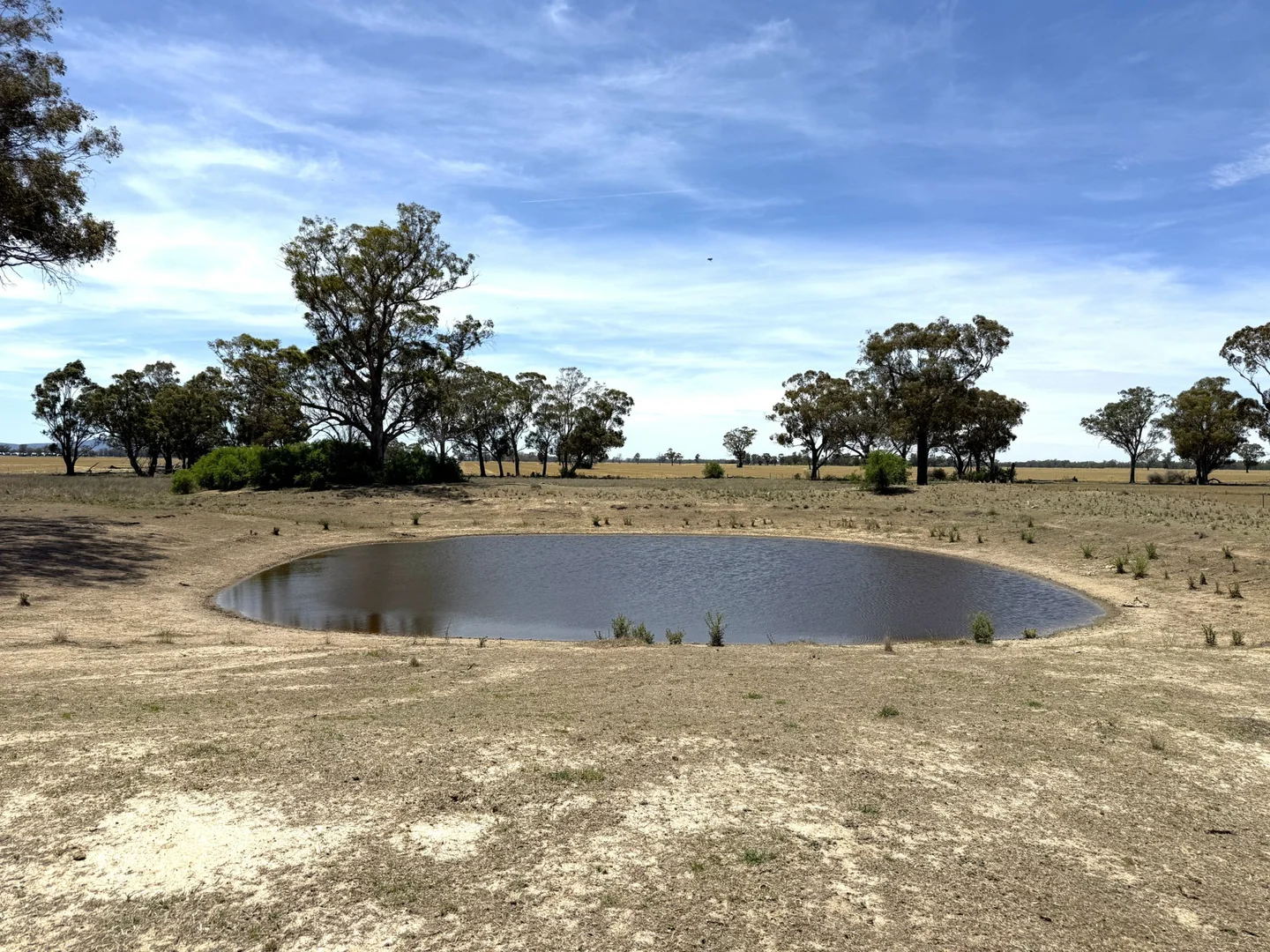 Additional image 9 of 1539 Bland Road, Quandialla NSW 2721