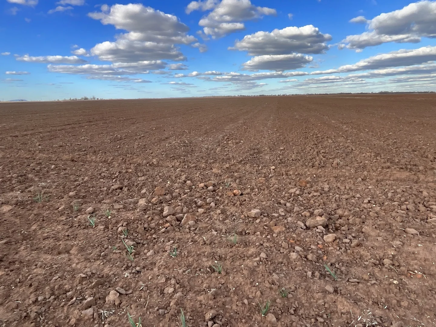 Additional image 13 of 73 Mirrool Branch Canal Road, Hanwood NSW 2680