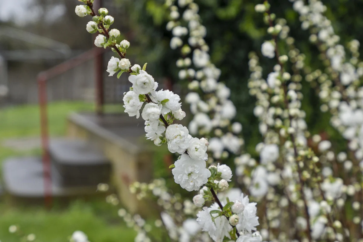 Additional image 20 of 5 Rectory Street, Swansea TAS 7190