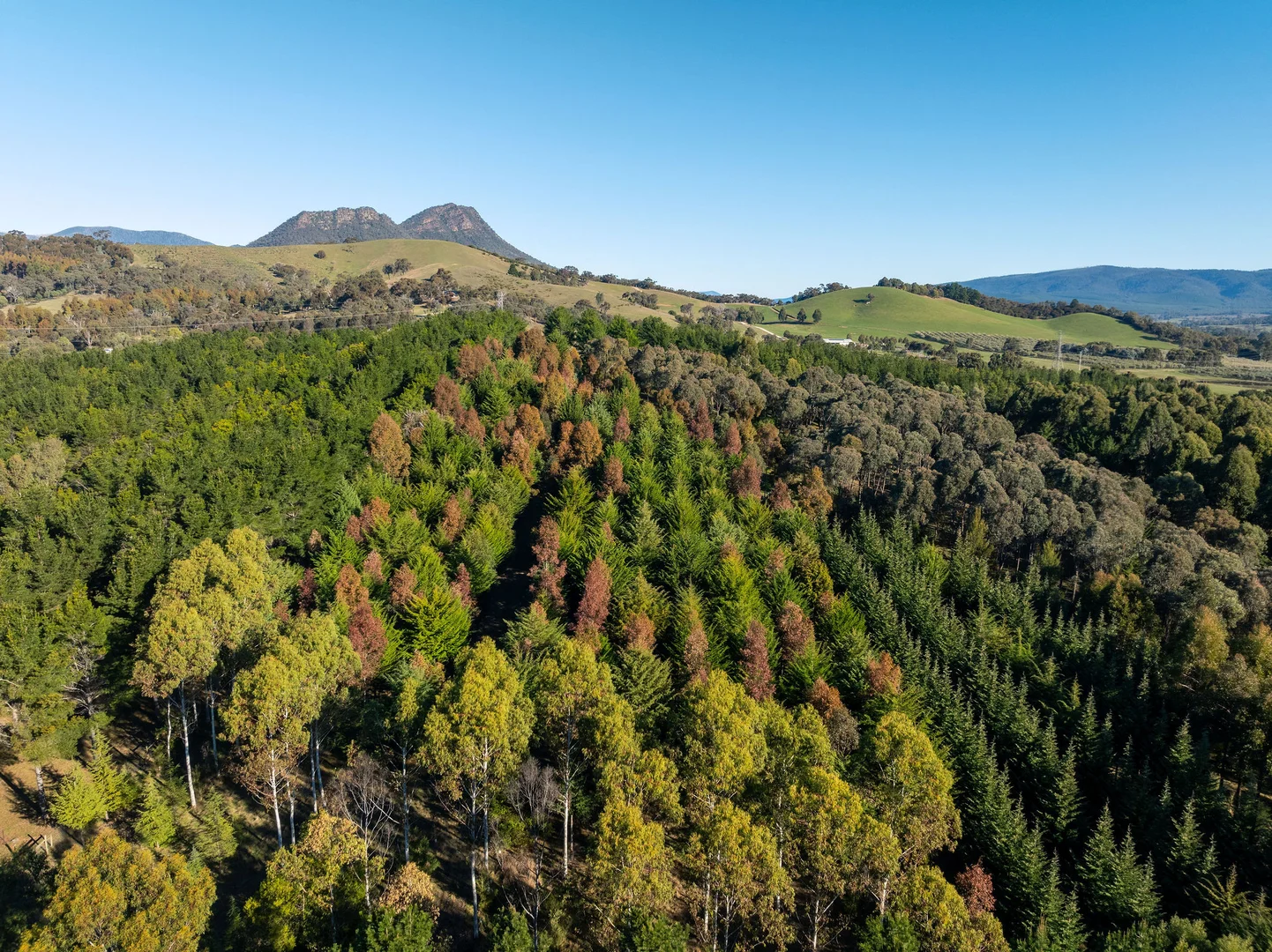 Additional image 10 of 252 Taggerty - Thornton Road, Taggerty VIC 3714