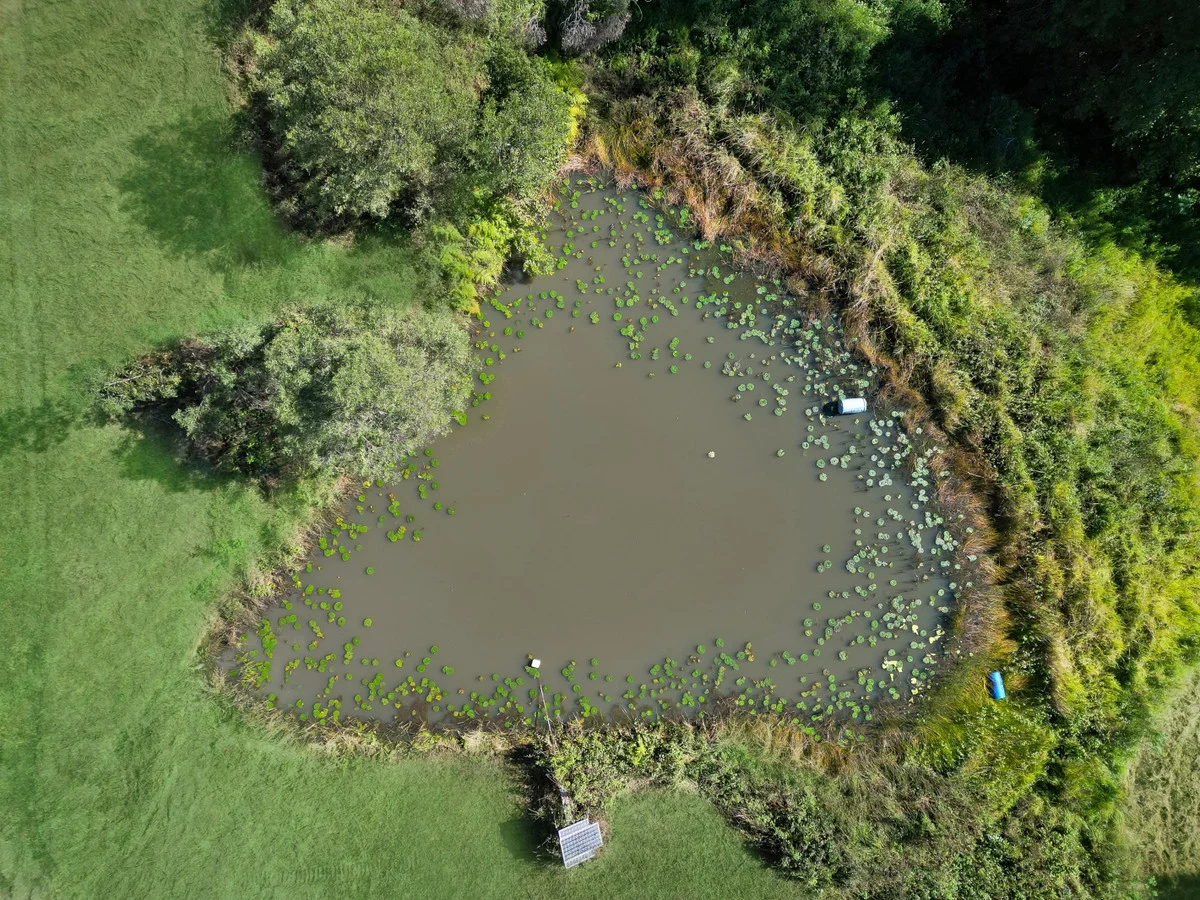 Additional image 17 of 422A Tallebudgera Connection Road, Tallebudgera QLD 4228